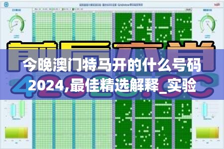 今晚澳門特馬開的什么號(hào)碼2024,最佳精選解釋_實(shí)驗(yàn)版973.76