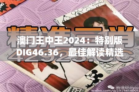 澳門(mén)王中王2024：特別版DIG46.36，最佳解讀精選版