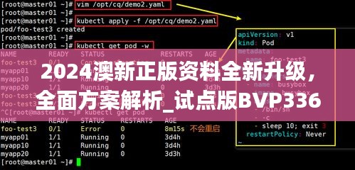 2024澳新正版資料全新升級，全面方案解析_試點(diǎn)版BVP336.32