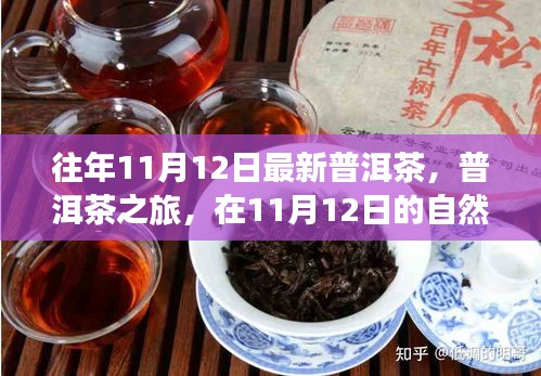 普洱茶之旅，在11月12日的自然懷抱中品味靜心之茶，探尋最新普洱茶的魅力