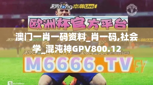 澳門一肖一碼資料_肖一碼,社會學_混沌神GPV800.12