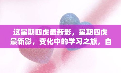 星期四虎最新影，變化中的學習之旅，自信與成就感的源泉