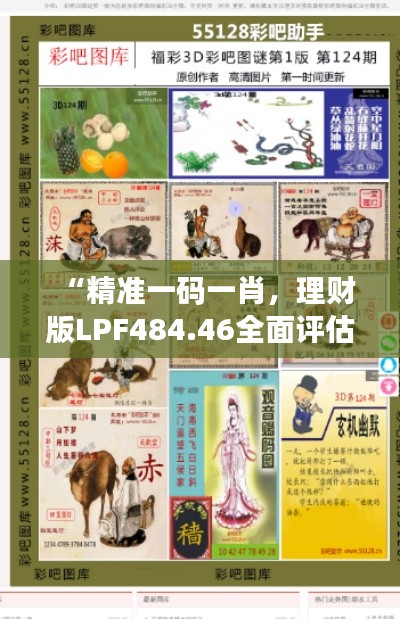 “精準一碼一肖，理財版LPF484.46全面評估”