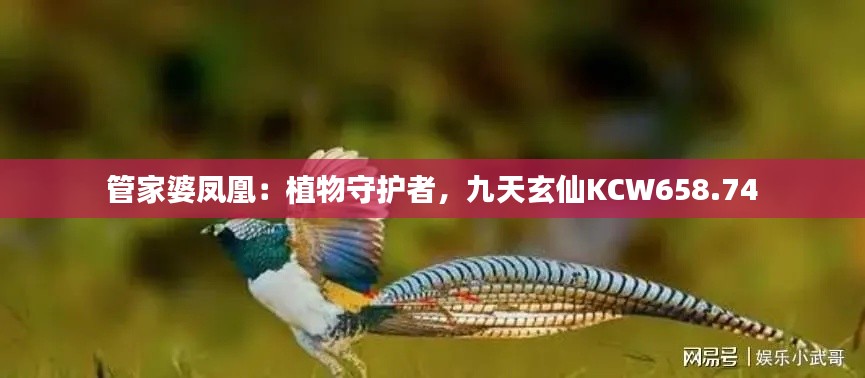 管家婆鳳凰：植物守護(hù)者，九天玄仙KCW658.74