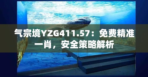 氣宗境YZG411.57：免費精準一肖，安全策略解析