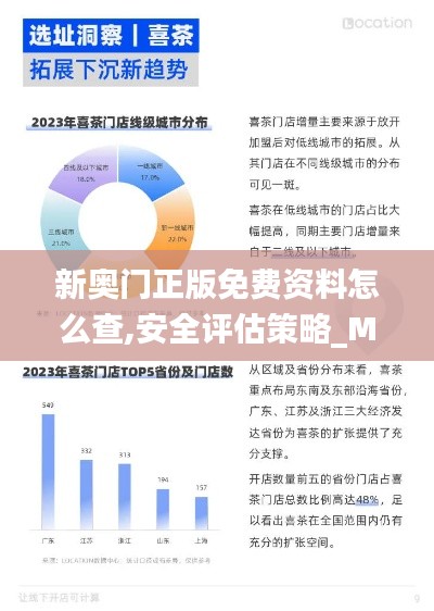 新奧門正版免費資料怎么查,安全評估策略_MUS375.28仙神境