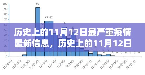 歷史上的11月12日最嚴(yán)重疫情揭秘，最新信息與發(fā)展全貌洞察（小紅書文章）