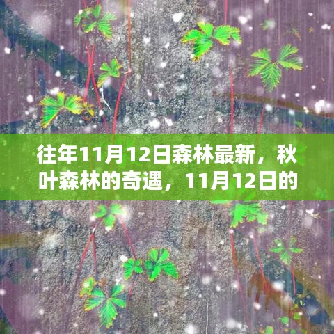 秋日森林奇遇，溫馨記憶中的最新秋葉森林