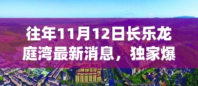 獨家揭秘，往年11月12日長樂龍庭灣最新動態(tài)與細節(jié)曝光！