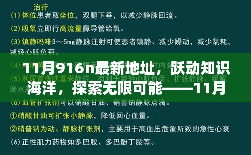 躍動知識海洋，探索無限可能，揭秘11月916n新地址魔法之旅，學習成就自信與成長