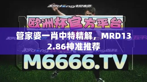 管家婆一肖中特精解，MRD132.86神準(zhǔn)推薦