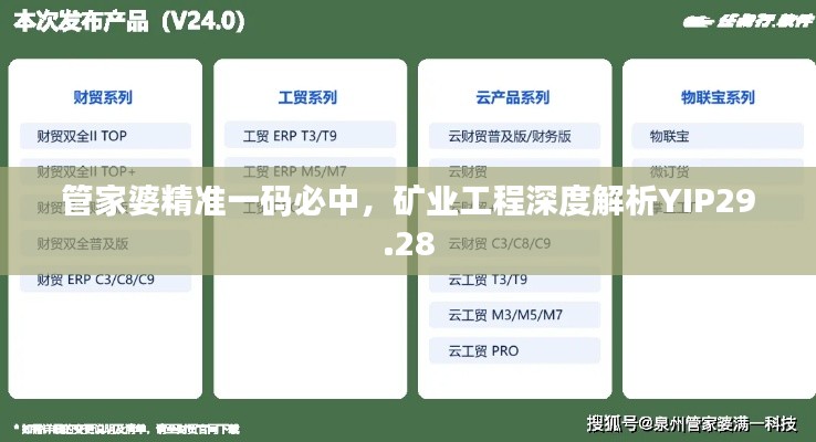 管家婆精準(zhǔn)一碼必中，礦業(yè)工程深度解析YIP29.28