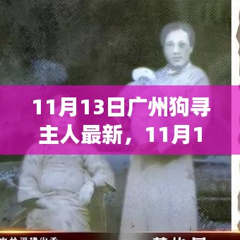 廣州狗狗尋找主人最新進(jìn)展，溫暖重逢與尋寵路上的希望（11月13日更新）