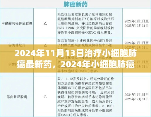 2024年小細(xì)胞肺癌治療新藥全面解析與用戶體驗(yàn)，最新藥物評(píng)測(cè)及療效展望