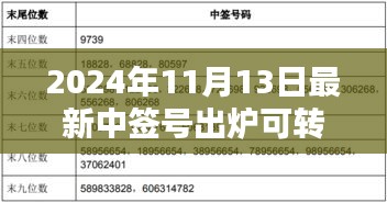 揭秘，2024年最新可轉(zhuǎn)債中簽號出爐背后的影響與時代地位分析