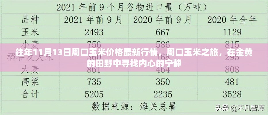 往年11月13日周口玉米價格更新，田野探索與內(nèi)心寧靜之旅