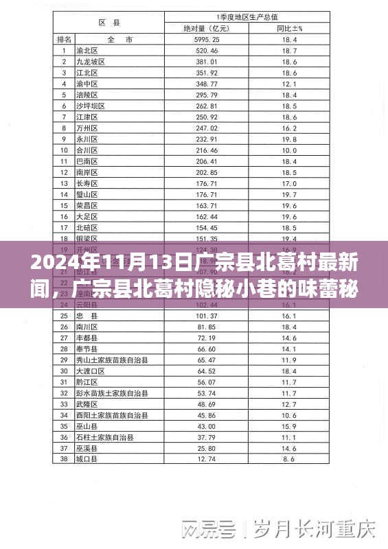 廣宗縣北葛村隱秘小巷的美食秘境，最新探秘之旅（2024年11月13日）