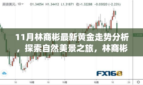 林商彬黃金走勢分析與自然美景探索，黃金與心靈的對話