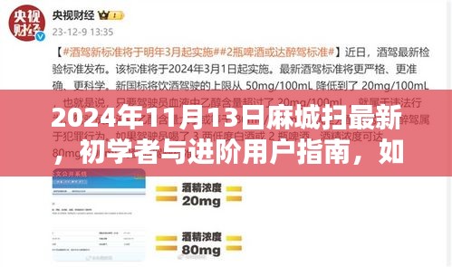 麻城掃最新技能指南，初學(xué)者與進階用戶如何掌握