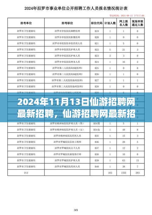 2024年11月13日仙游招聘網(wǎng)最新動態(tài)，聚焦人才市場熱點