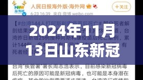 山東新冠疫情最新報(bào)告，多維視角下的深度分析（2024年11月13日）