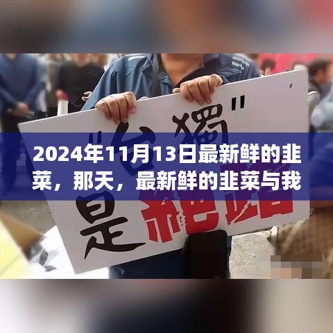 新鮮韭菜與溫馨故事，2024年11月13日的邂逅