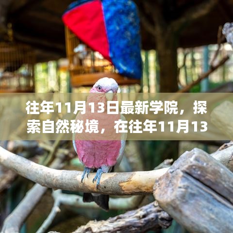 往年11月13日學院探索自然秘境之旅，追尋內(nèi)心的寧靜與笑聲