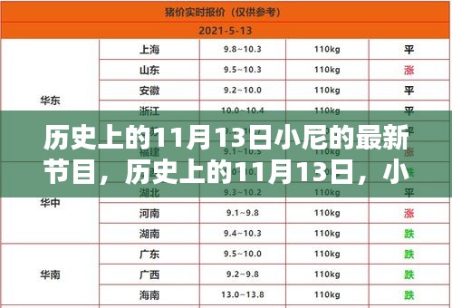 小尼最新節(jié)目深度解析，歷史上的十一月十三日