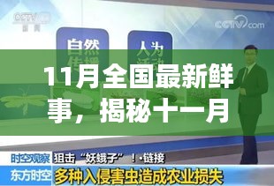 揭秘十一月全國新鮮事，熱點聚焦與科普解讀