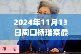 楊瑞案背后的故事，變化的力量與自信的重生最新進展，周口楊瑞案深度剖析（2024年11月13日）