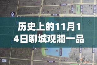 聊城觀瀾一品揭秘之旅，11月14日最新動(dòng)態(tài)探秘隱藏小巷