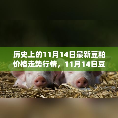 歷史上的豆粕價(jià)格走勢分析，回顧與預(yù)測