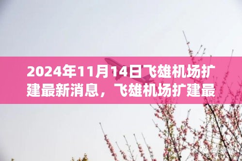 2024年11月14日飛雄機場擴建最新進展與動態(tài)