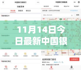 揭秘，中國銀行最新外匯牌價動態(tài)及影響力解析（11月14日更新）