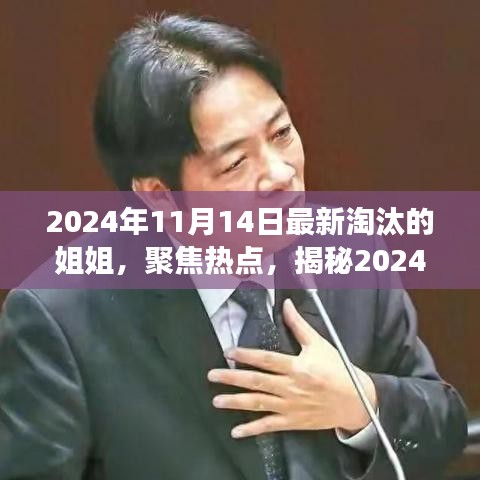 揭秘，2024年11月14日最新淘汰的姐姐背后的故事與熱點(diǎn)聚焦