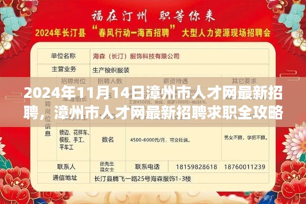 漳州市人才網最新招聘求職攻略，成功應聘心儀職位全解析（2024年11月）