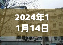 洛寧二手房最新信息探索，巷弄之韻與隱藏的小巷故事（最新信息門戶）