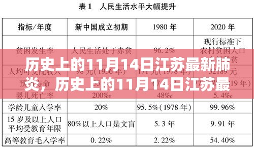 歷史上的11月14日江蘇最新肺炎事件深度解析，影響與啟示