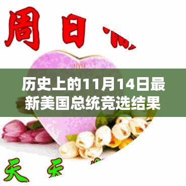 歷史上的11月14日美國總統(tǒng)競選結果深度解析與回顧