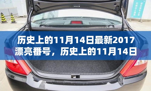 歷史上的11月14日最新2017漂亮番號，歷史上的11月14日，探尋那些閃耀的瞬間與美好記憶??