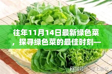 探尋綠色菜的最佳時(shí)刻，以往年11月14日為例的蔬菜盛宴