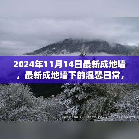 最新成地墻下的溫馨日常，友誼與愛共筑美好家園的2024年1月記事