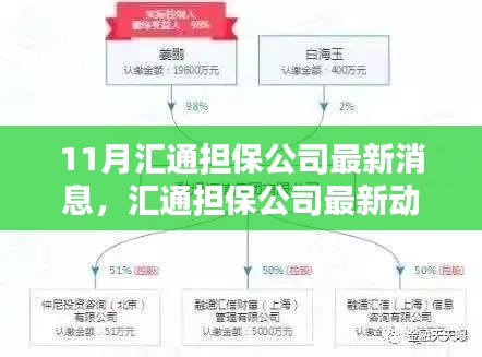 匯通擔保公司最新動態(tài)解析及觀點探析，11月最新消息速遞