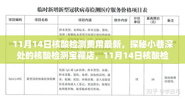 探秘核酸檢測寶藏店，揭秘最新核酸檢測費用新鮮事（11月14日更新）