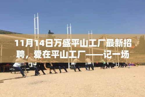 愛在平山工廠，最新招聘與求職之旅啟程