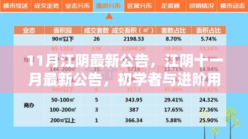 江陰十一月最新公告發(fā)布，初學(xué)者與進(jìn)階用戶指南詳解