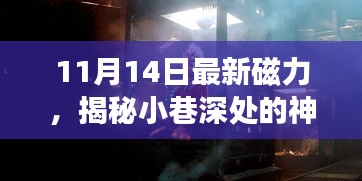 揭秘神秘寶藏，11月14日最新磁力小巷小店探秘之旅