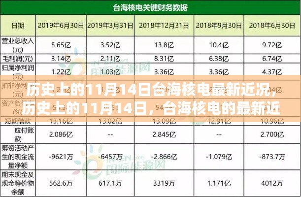 歷史上的11月14日，臺海核電的最新近況及其影響分析概覽