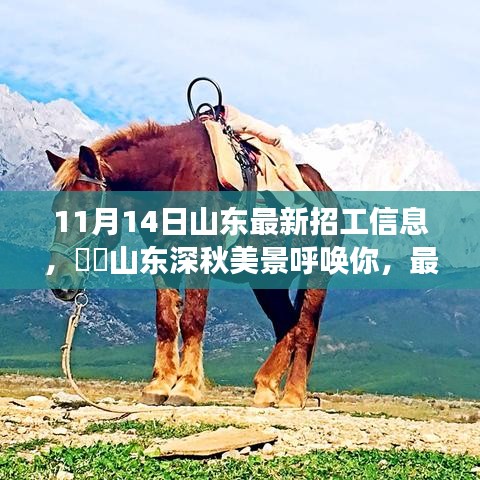 山東最新招工信息帶你領(lǐng)略深秋美景的心靈之旅啟程招募！