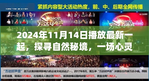 探尋自然秘境，心靈之旅啟程于2024年11月14日